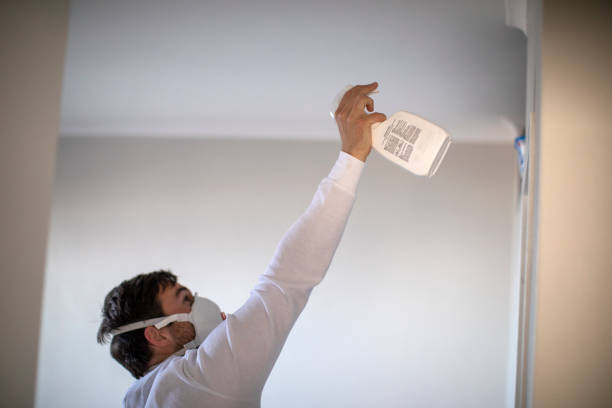 Best Mold Testing  in Highland Park, IL