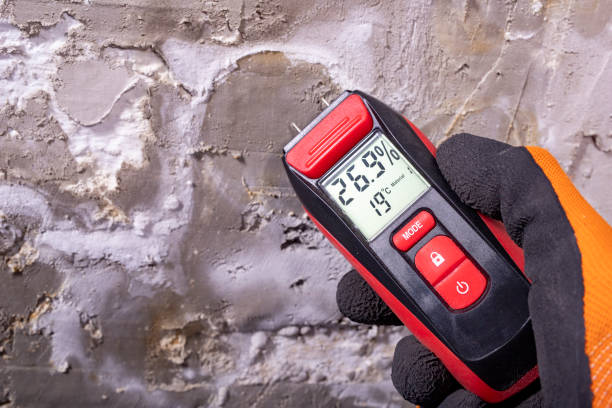 Professional Mold Removal in Highland Park, IL